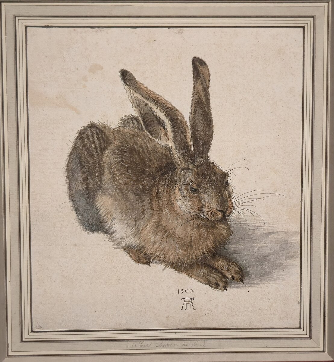 Young Hare by Albrecht Dürer (1502)